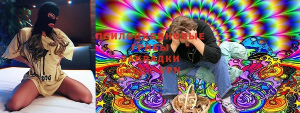 не бодяженный Арсеньев