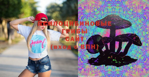 прущая мука Аркадак