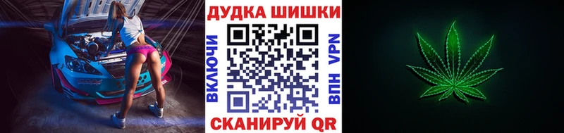 Купить где  Заполярный  Бошки Шишки сатива 